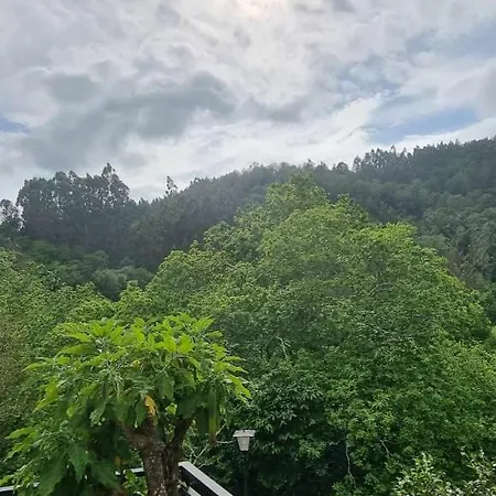Сasa de vacaciones Casa La Acebal Callejos